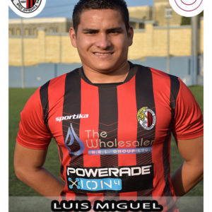 luis-miguel-vergara-rodriguez
